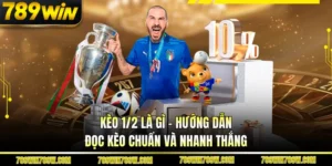 Kèo 1/2 Là Gì - Hướng Dẫn Đọc Kèo Chuẩn Và Nhanh Thắng